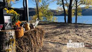 Дом 24м², 1-этажный, посуточно,