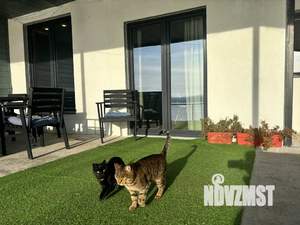 Дом 177м², 2-этажный, посуточно,