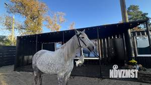 Дом 24м², 1-этажный, посуточно,