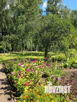 Дом 50м², 2-этажный, участок 6 сот.