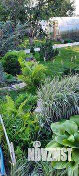 Коттедж 204м², 3-этажный, участок 11 сот.