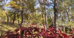 Дом 55м², 2-этажный, участок 8 сот.