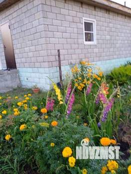 Дом 50м², 1-этажный, участок 25 сот.