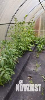 Дом 45м², 1-этажный, участок 15 сот.