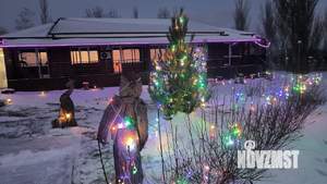 Дом 100м&sup2;, 1-этажный, посуточно, 