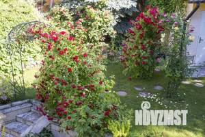 Коттедж 162м², 3-этажный, на длительный срок, 