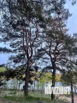 Дом 73м&sup2;, 2-этажный, посуточно, 