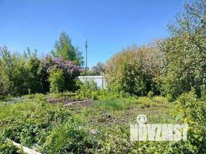 Дом 30м², 1-этажный, участок 10 сот.  