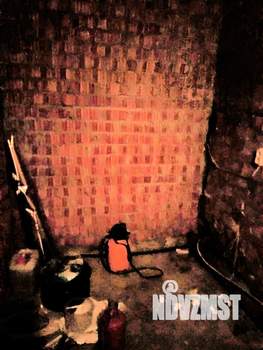 Коттедж 280м&sup2;, 2-этажный, участок 806 сот.  