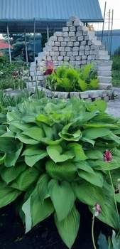 Дом 60м&sup2;, 2-этажный, участок 5 сот.  