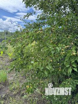 Дом 80м², 2-этажный, участок 6 сот.  