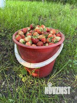 Дом 29м², 2-этажный, участок 6 сот.  