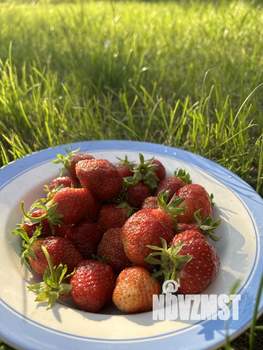 Дом 29м², 2-этажный, участок 6 сот.  