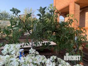 Дом 28м², 2-этажный, участок 5 сот.  