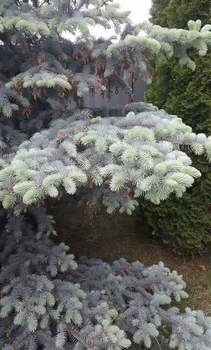 Дом 60м&sup2;, 2-этажный, участок 5 сот.  