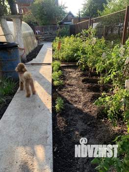 Дом 28м², 2-этажный, участок 5 сот.  