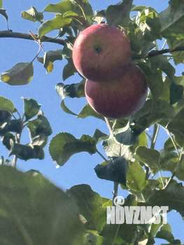 Дом 40м&sup2;, 2-этажный, участок 5 сот.  