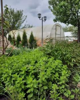 Дом 60м&sup2;, 2-этажный, участок 5 сот.  