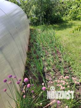 Дом 50м², 2-этажный, участок 4 сот.  