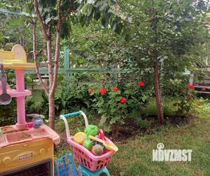 Дом 62м², 1-этажный, участок 3 сот.  