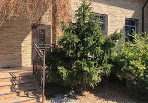 Дом 398м&sup2;, 2-этажный, участок 9 сот.  