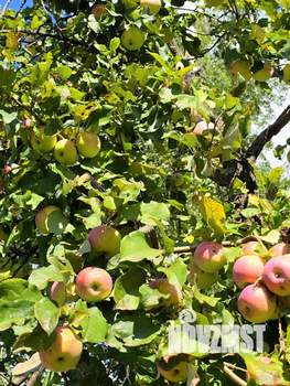 Дом 50м², 2-этажный, участок 6 сот.  