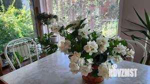 Коттедж 253м&sup2;, 3-этажный, участок 7 сот.  