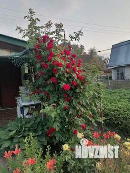 Дом 50м&sup2;, 2-этажный, участок 4 сот.  