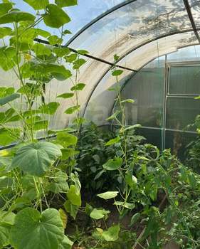 Дом 214м², 2-этажный, участок 6 сот.  