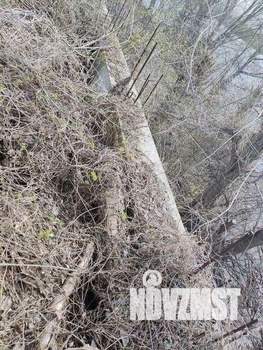 Коттедж 300м², 3-этажный, участок 8 сот.  