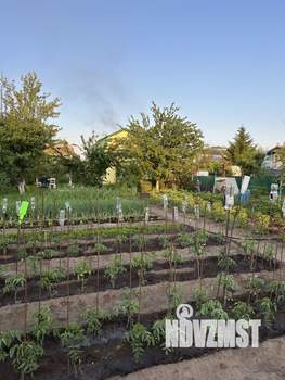 Дом 29м², 2-этажный, участок 6 сот.  