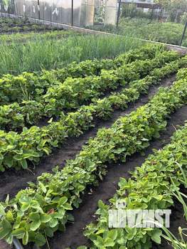 Дом 29м², 2-этажный, участок 6 сот.  