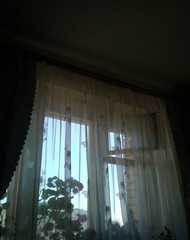 Фото комнаты на продажу (7)