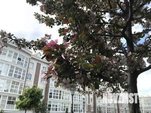 1-к квартира, посуточно, 50м2, 1/1 этаж