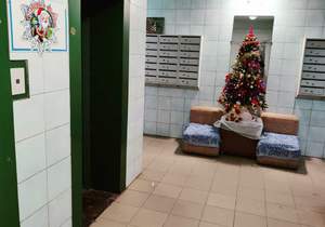 1-к квартира, на длительный срок, 31м2, 13/16 этаж