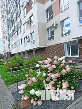 1-к квартира, посуточно, 24м2, 1/1 этаж