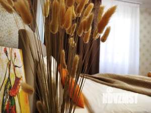 Студия квартира, посуточно, 30м2, 3/18 этаж