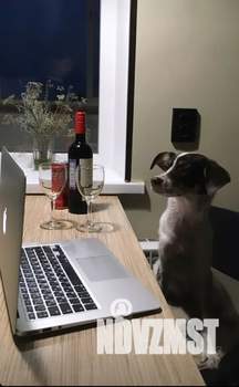 1-к квартира, посуточно, 40м2, 7/16 этаж