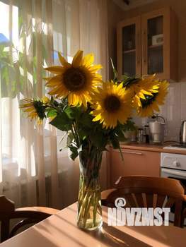 1-к квартира, на длительный срок, 33м2, 6/9 этаж