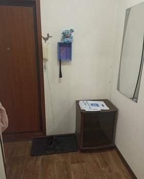 1-к квартира, на длительный срок, 32м2, 5/9 этаж