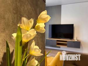 Студия квартира, посуточно, 33м2, 5/8 этаж