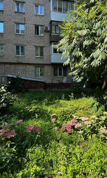 1-к квартира, вторичка, 33м2, 9/9 этаж