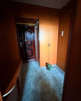 1-к квартира, вторичка, 32м2, 15/16 этаж
