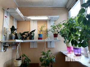 1-к квартира, вторичка, 40м2, 2/9 этаж