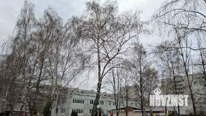 1-к квартира, вторичка, 34м2, 10/10 этаж