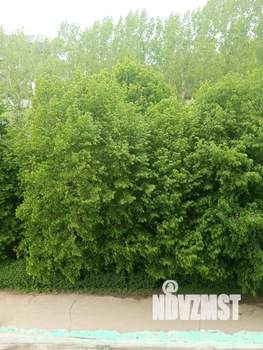 3-к квартира, вторичка, 58м2, 5/16 этаж