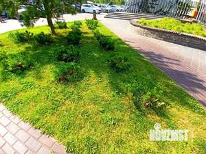 3-к квартира, вторичка, 72м2, 8/10 этаж