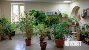 4-к квартира, вторичка, 140м2, 8/14 этаж