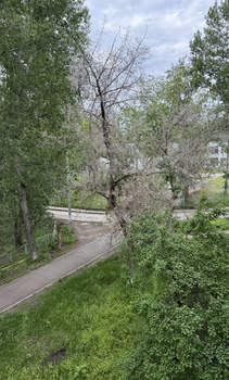 1-к квартира, вторичка, 33м2, 3/5 этаж