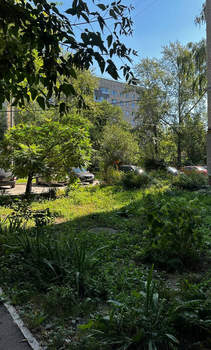 1-к квартира, вторичка, 33м2, 9/9 этаж